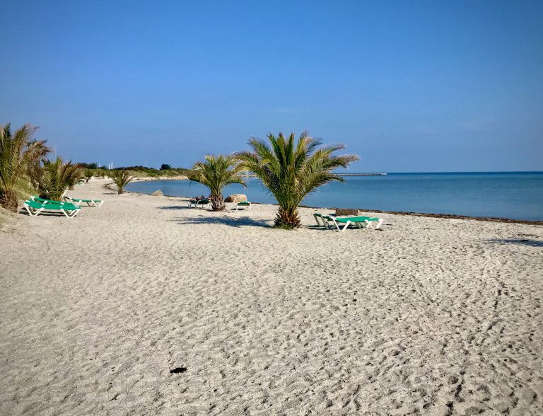 Palm Beach in denmark