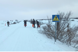 Silfra diving