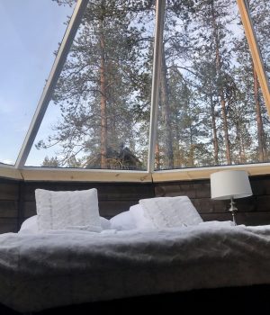 Muotka Iglu from inside Muotka Iglu from inside