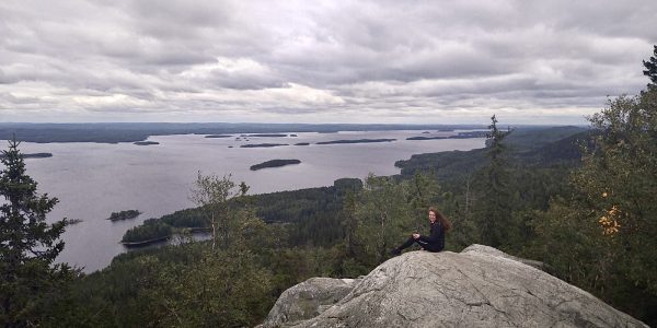 Koli National Park Koli national park